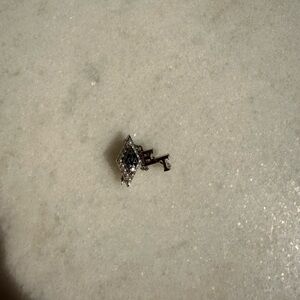 Chic Silver and Black Sorority Brooch